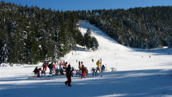 1644244367-maliovica1