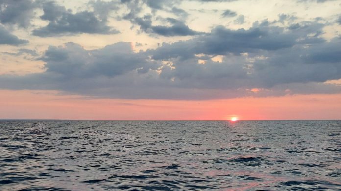 CD0D0735-383E-4DBC-B2E2-CF877B7FF9B6