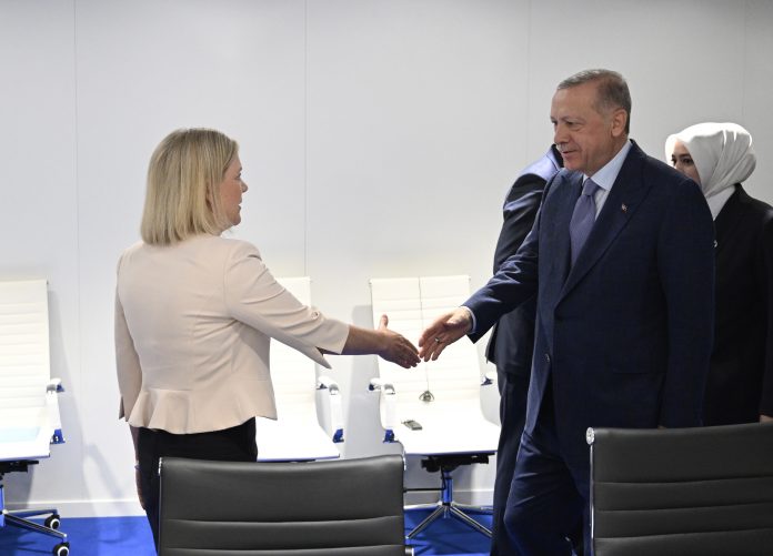 Erdogan discusses Sweden's NATO memebership with Swedish Prime Minister Magdalena Andersson