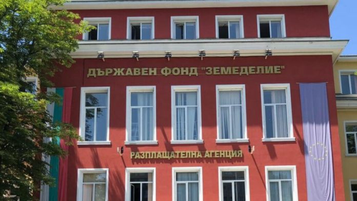 дфз