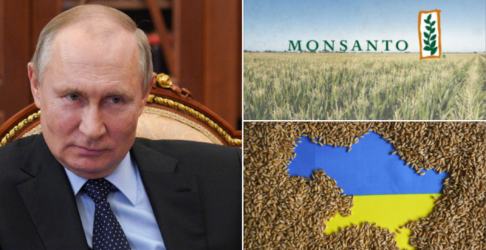 путин жито украйна