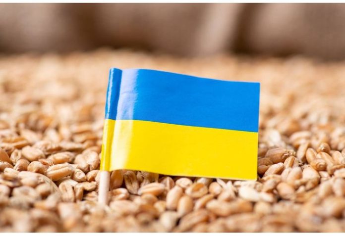 Украинско зърно