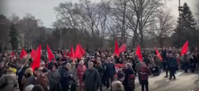 протест защита пса