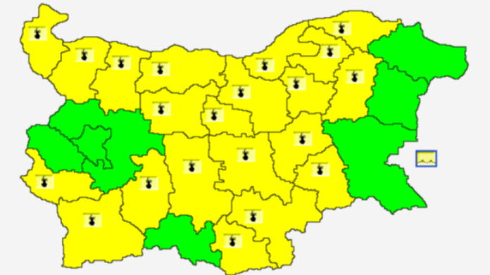 жълт код