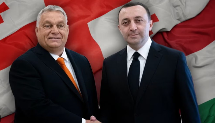 гарибашвили и орбан