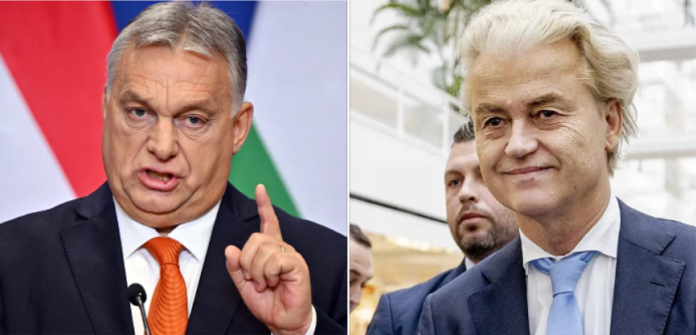 орбан и валдерс