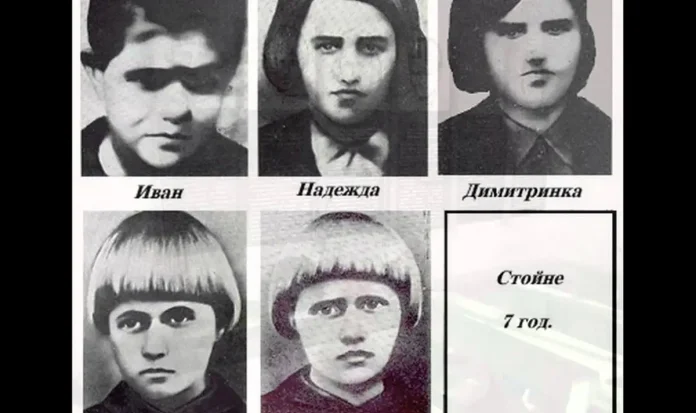 ястребинчета