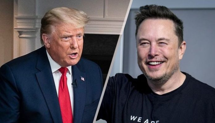 trump-musk