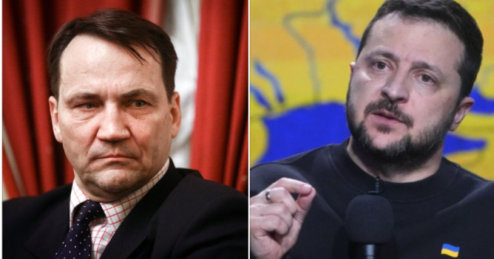 schikorski-zelenski