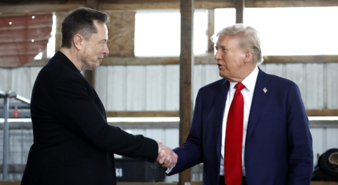 musk trump