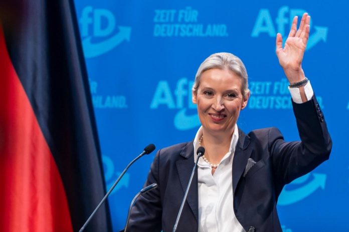 AfD Weidel