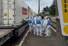 Нов обмен на загинали: Русия предаде 522, Украйна – 33