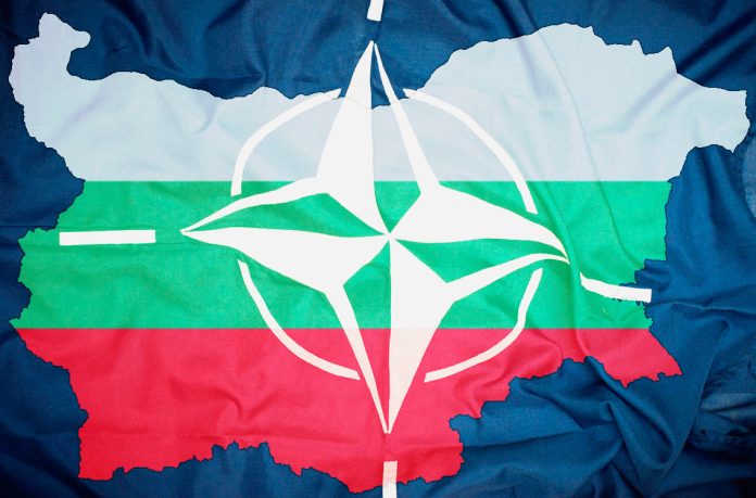 1950211834referendum-nato