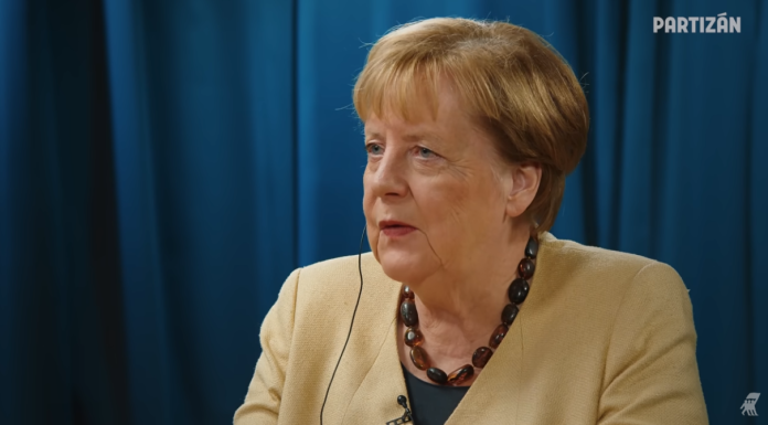 merkel-partizan