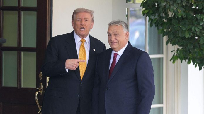 trump-orban