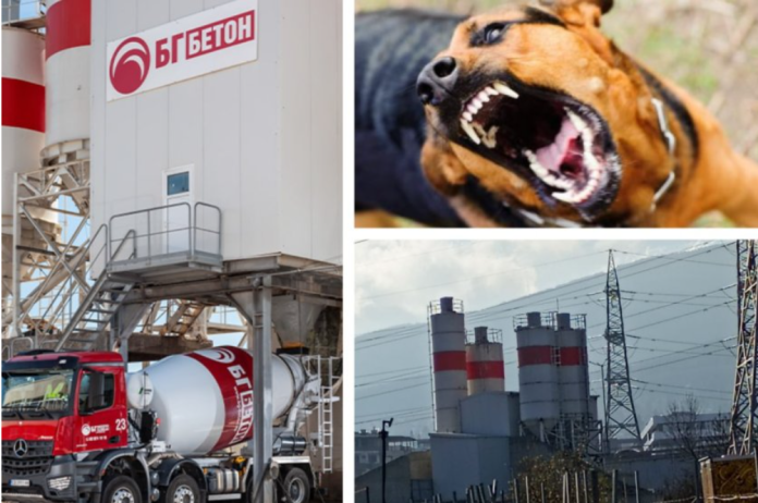 dog-beton