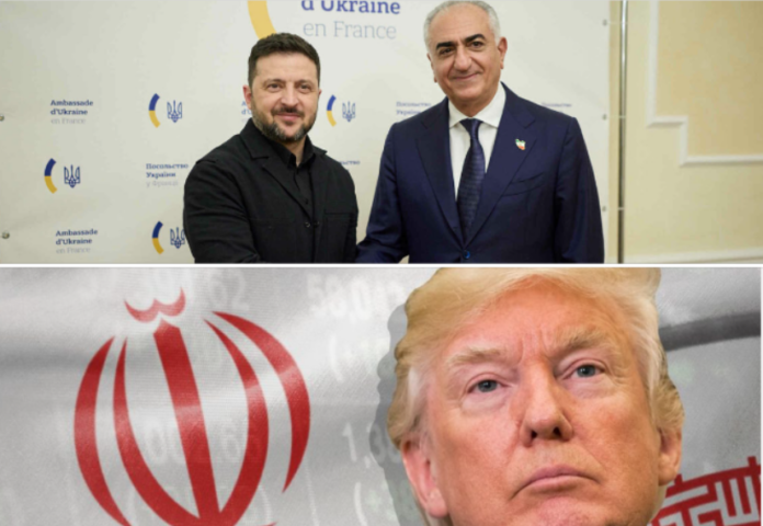 ukr-zele-trump
