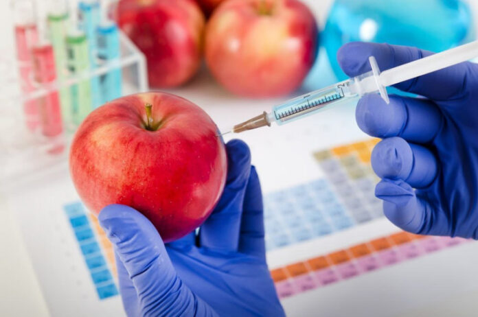GMO