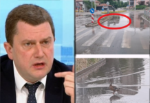 От некадърност кметът на Перник развъди патици по локвите от неремонтирани течове