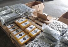 Кокаин и марихуана на стойност 2,2 милиона евро са задържани при операция на ГДБОП и Агенция „Митници“ на граничния пункт „Лесово“