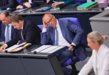 Позорно загубилият Мерц обвини АзГ, че иска „етническо прочистване“