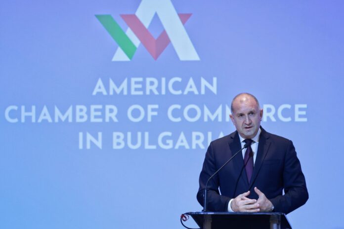 radev-amcham